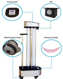 UV Lights and Lamps:,UV-C Radiation,Disinfection